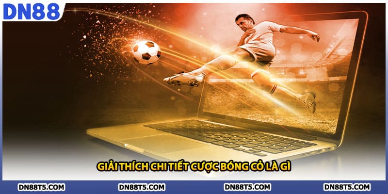 Giải thích chi tiết cược bóng cỏ là gì